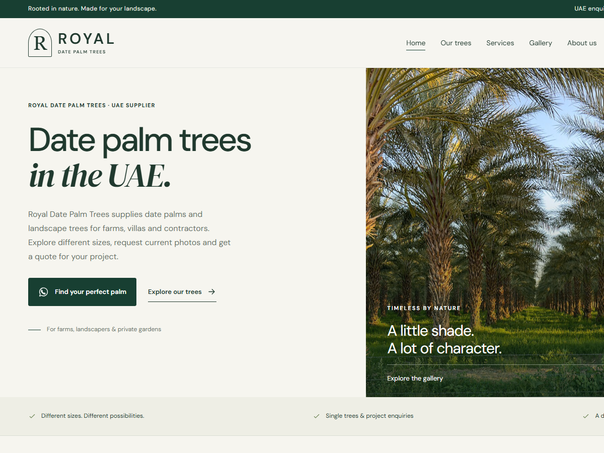 Royal Date Palm Trees UAE - Commercial Landscape & Flora Nursery